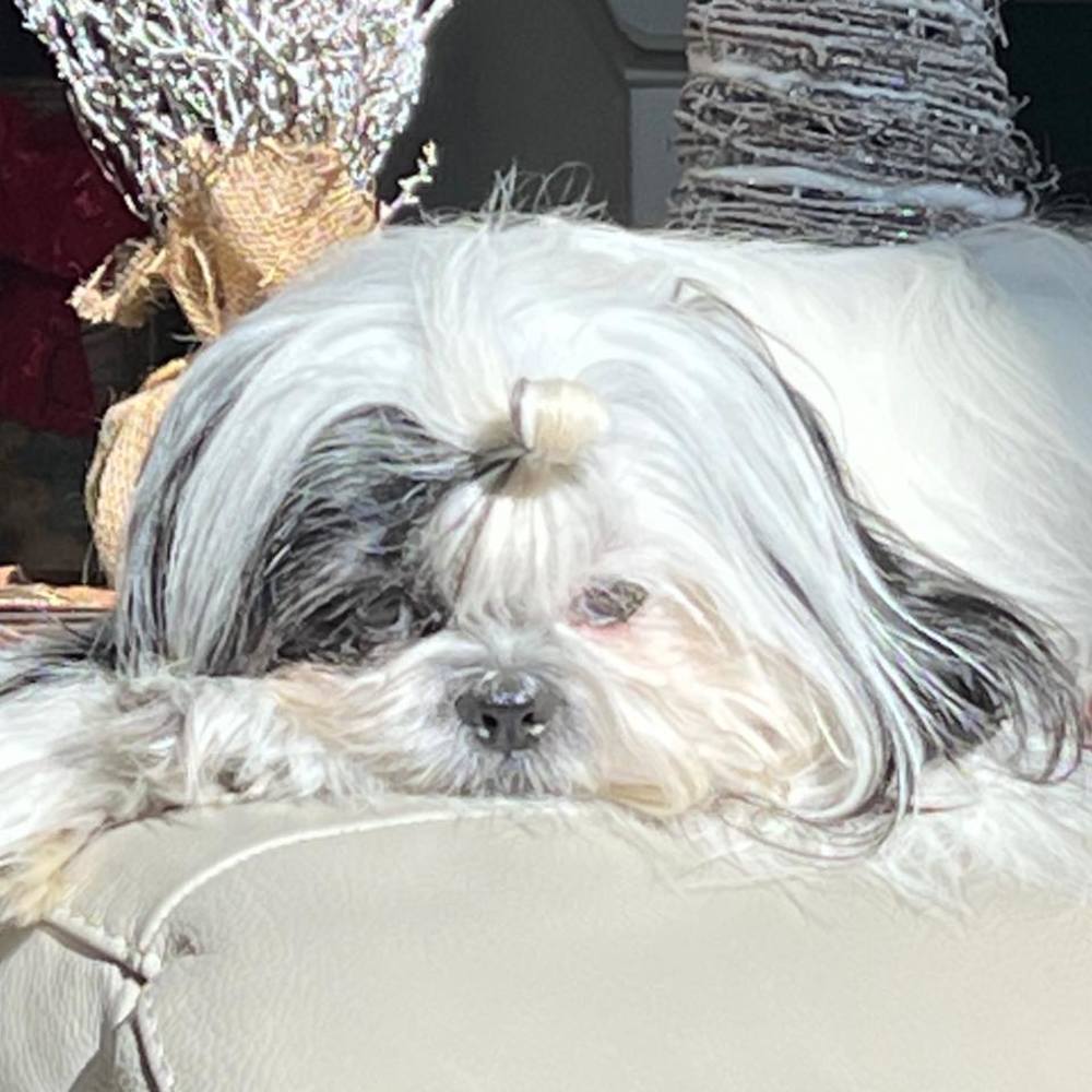 Meet your Posher, Catarina